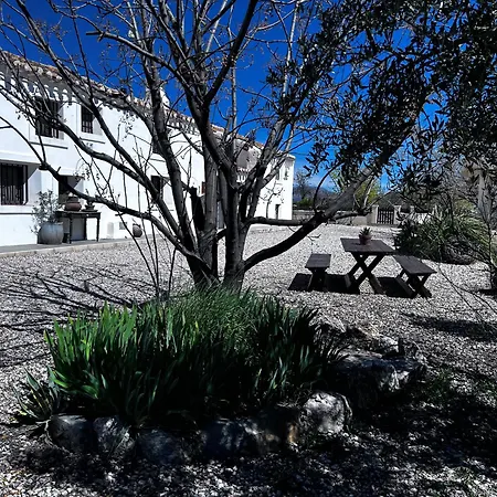 Villa Casa De Musica *